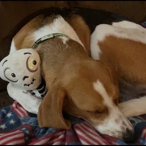 Meet your Posher, Noel